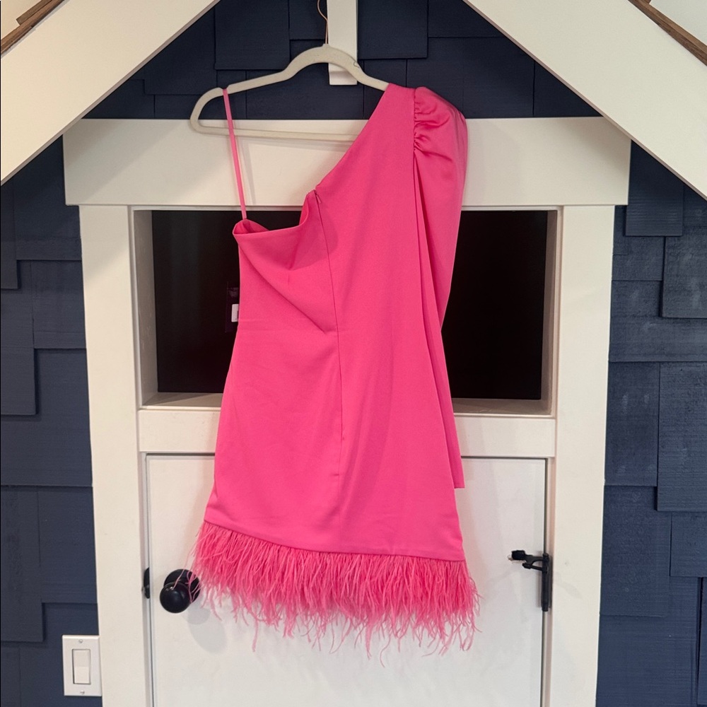 Mac Duggal Pink One Shoulder Feather Hem Mini Dress Size 6 NWT - Picture 4 of 6